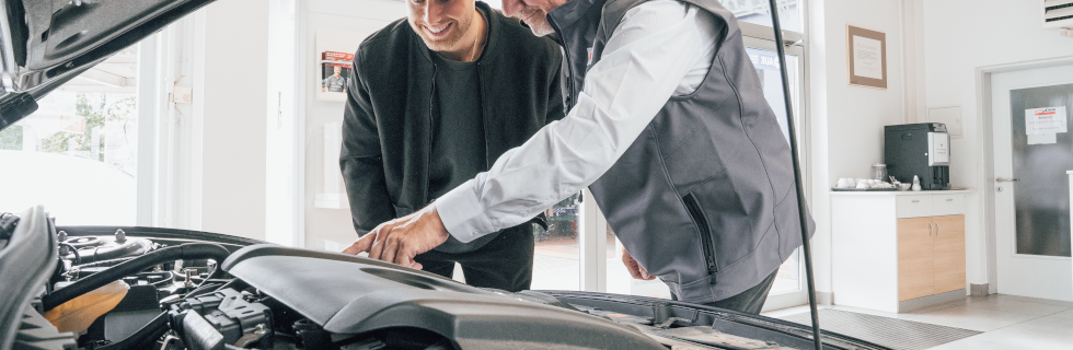 Inspektion für Fahrzeuge aller Marken